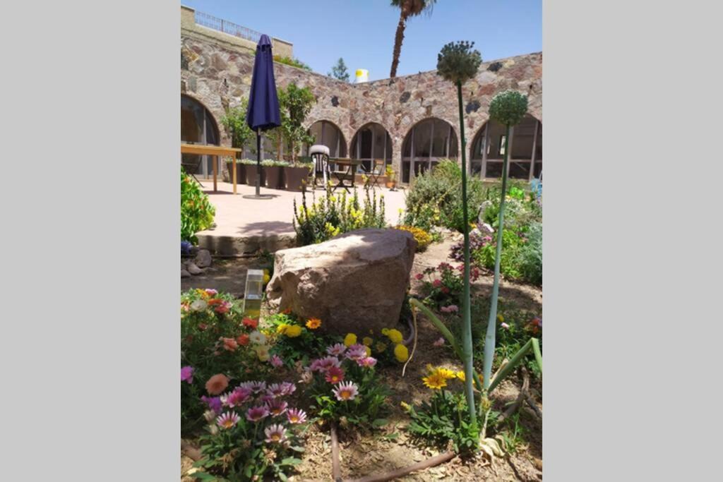 Eilat Stone - Patio אבן אילת - פטיו Leilighet Eksteriør bilde