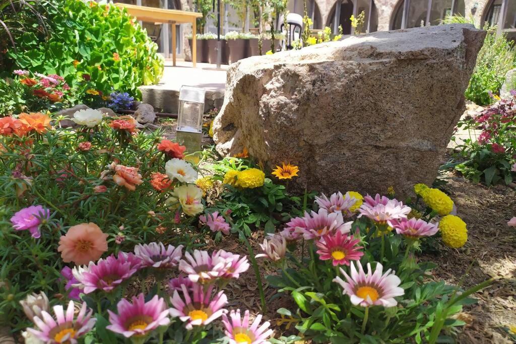 Eilat Stone - Patio אבן אילת - פטיו Leilighet Eksteriør bilde