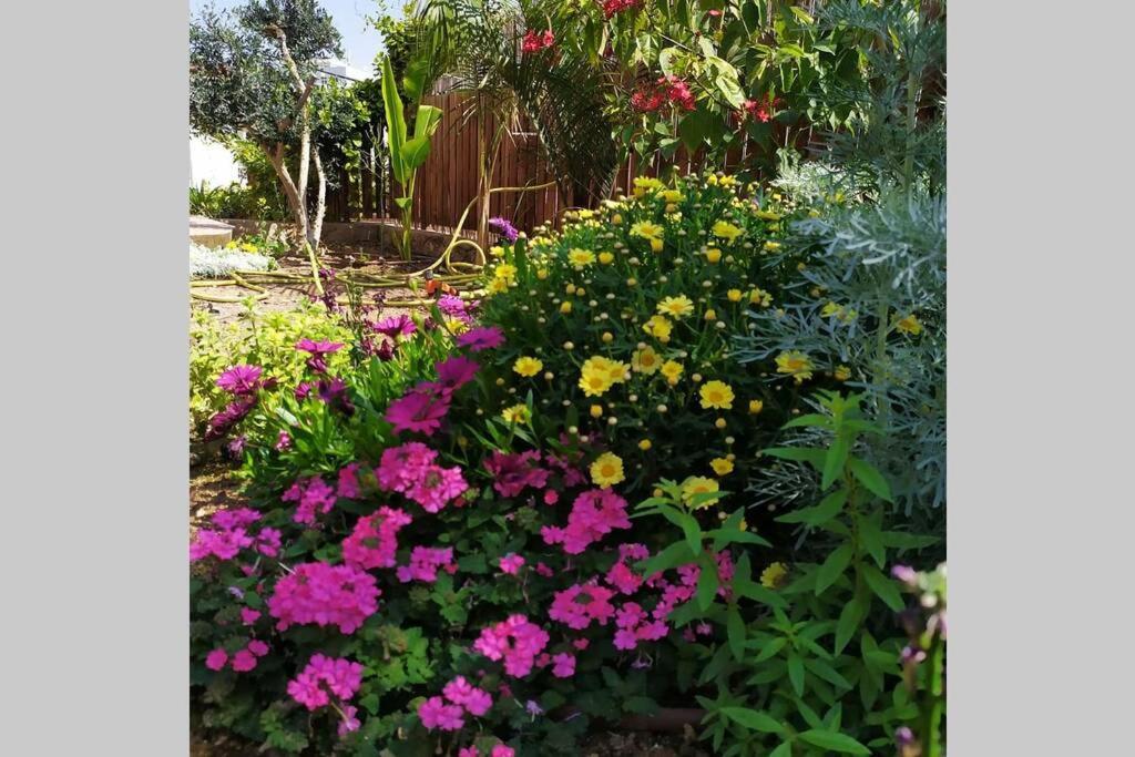 Eilat Stone - Patio אבן אילת - פטיו Leilighet Eksteriør bilde